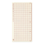 Traveler's Notebook 2025 Plastic Sheet, Regular Size